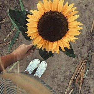 Meet your Posher, Itzmel